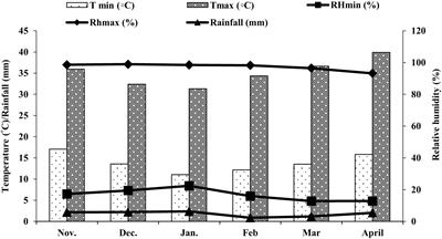 Silicon supplementation enhances productivity, water use efficiency and salinity tolerance in maize